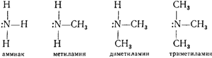 Амины, аминокислоты и белки