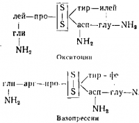 Окситоцин