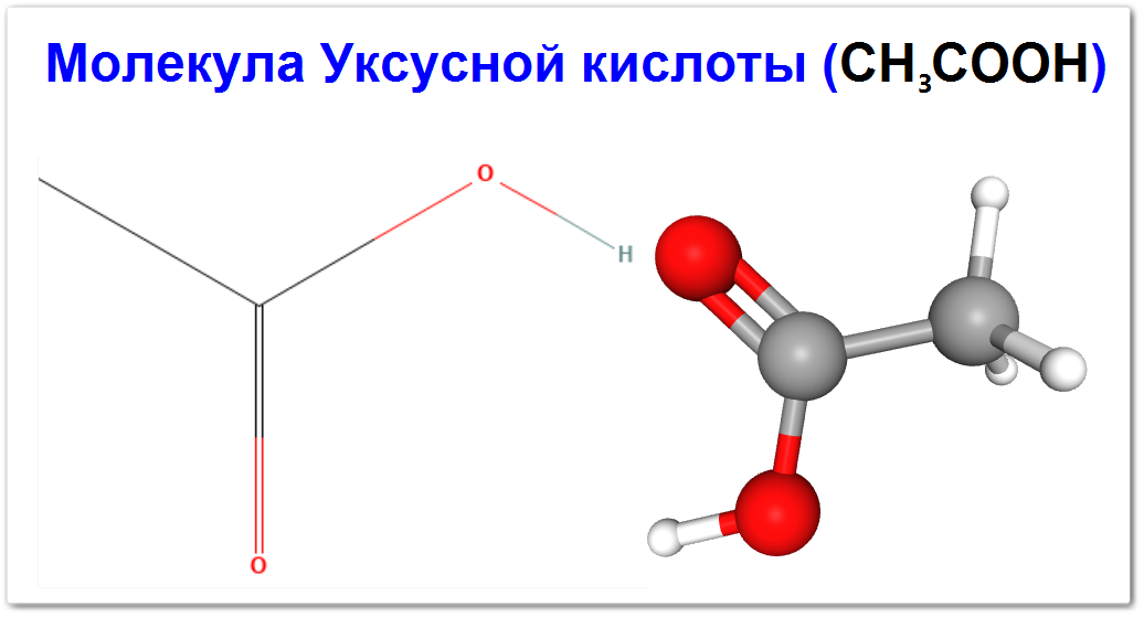 Молекула уксусной кислоты свойства строение