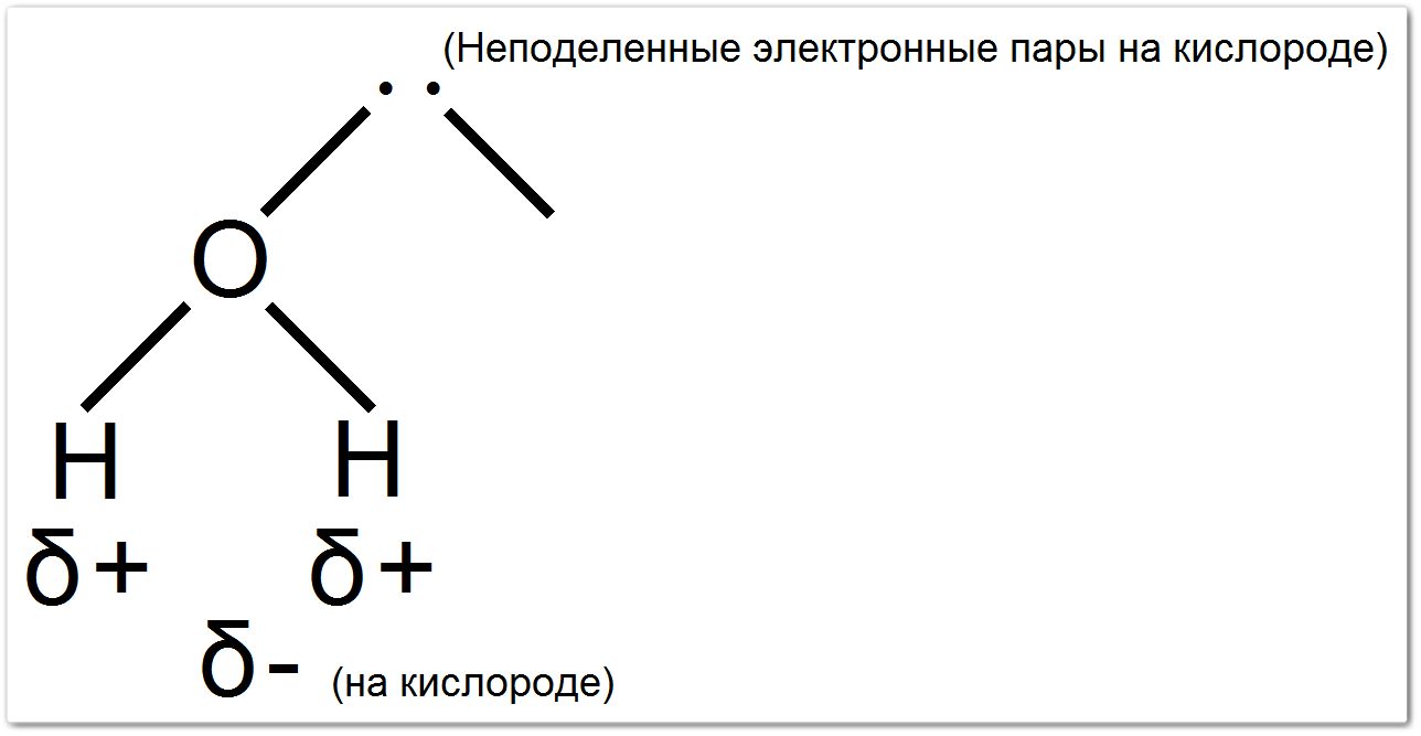 Неподеленные электронные пары на кислороде в молекуле воды