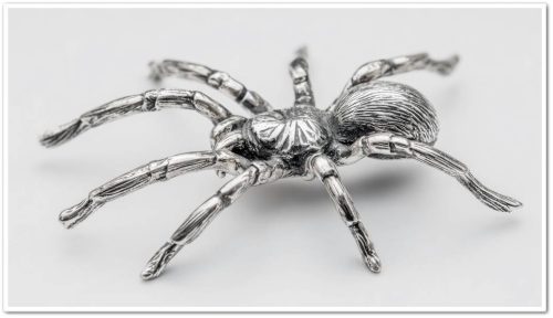 Серебрение на примерах Серебрение: посеребрение металлических изделий, химическое, гальваническое посеребрение и другие методы.